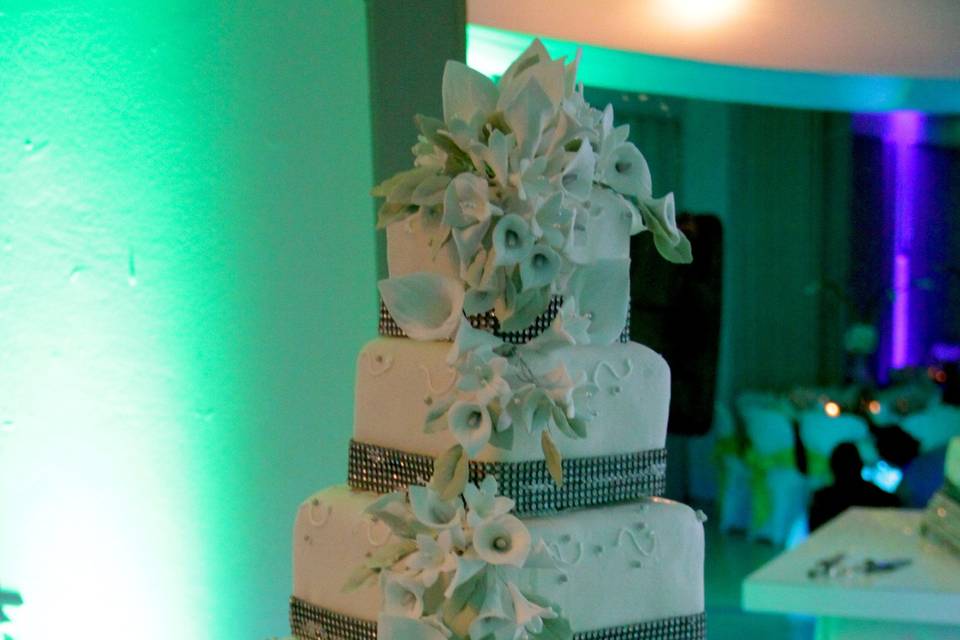 Wedding Cake - Reception at the Arecibo Country Club - Puerto Rico