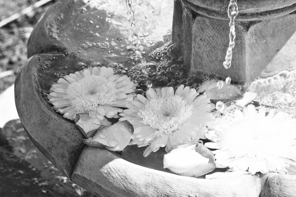 Float flowers in the fountain!