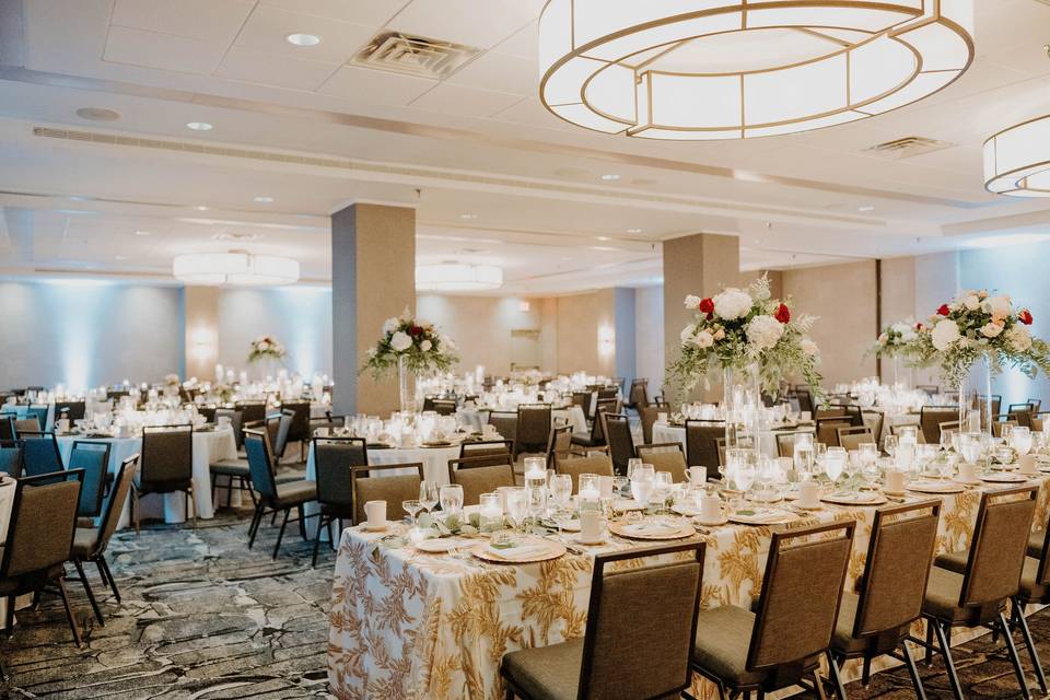 Wedding Reception