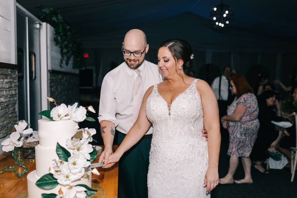 Cake Cutting