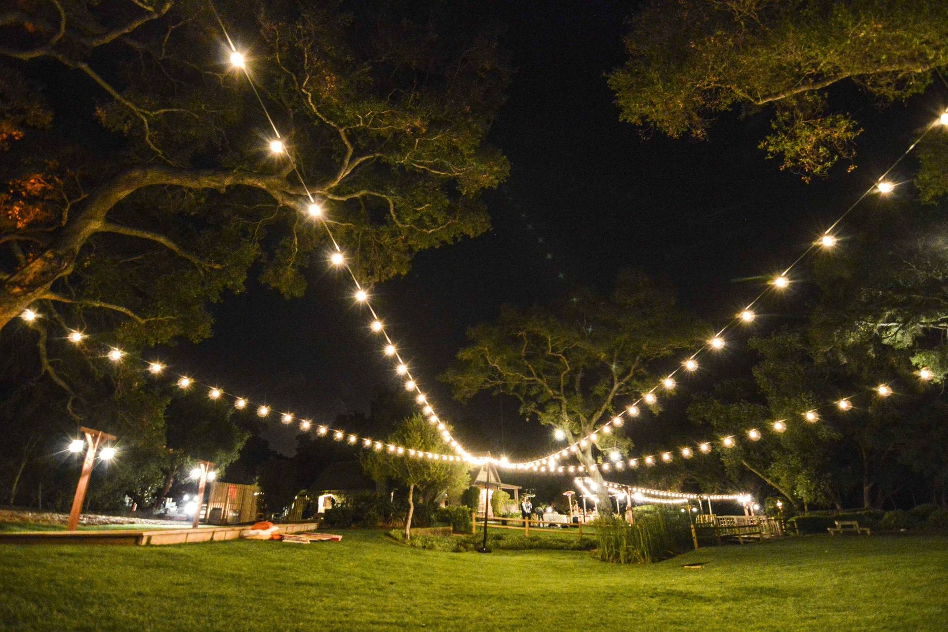 Brilliant Event Lighting - Wedding Decor & Lighting - Encinitas, CA ...