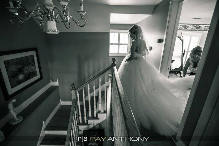 Ray Anthony Photography