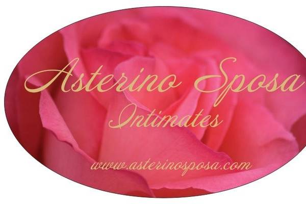 Asterino Sposa Intimates