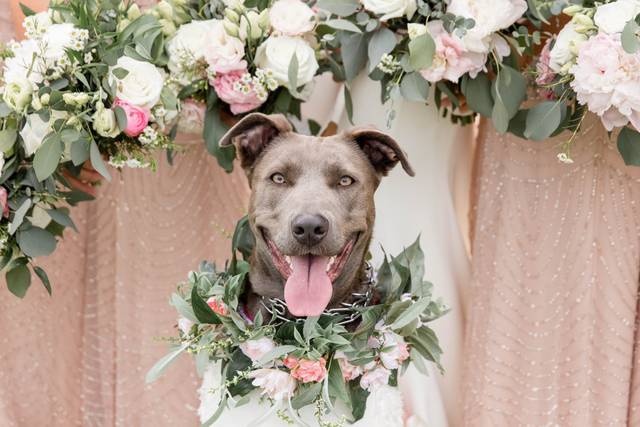 Maryland Wedding Photographer