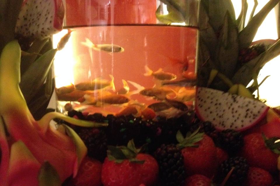 Another Different Illuminated Goldfish Fruit Display