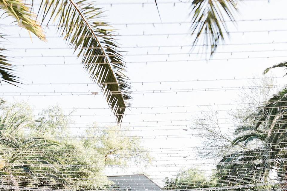 Las Vegas Wedding Venue