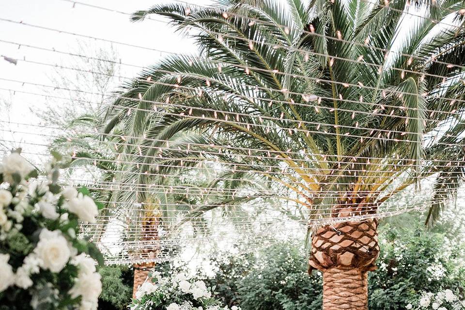 Las Vegas Wedding Venue