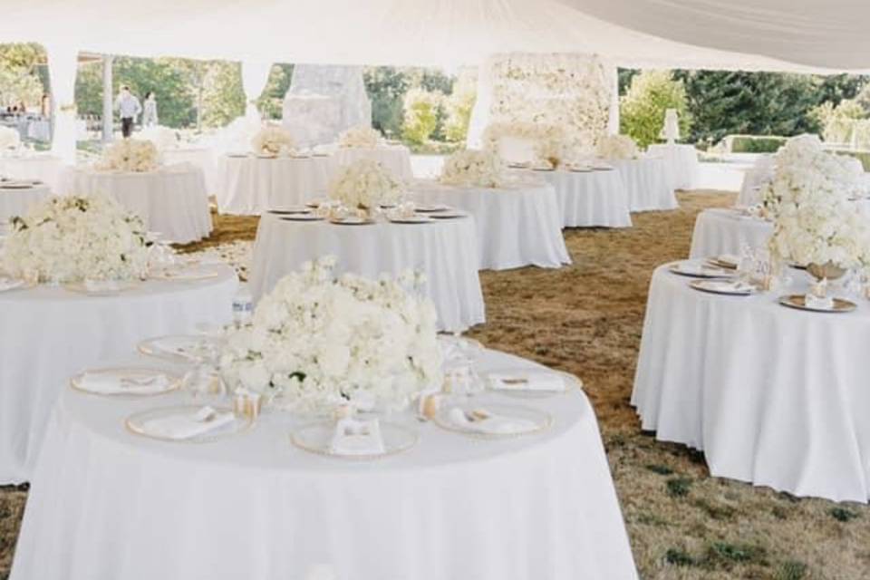 Tented gold and white lush
