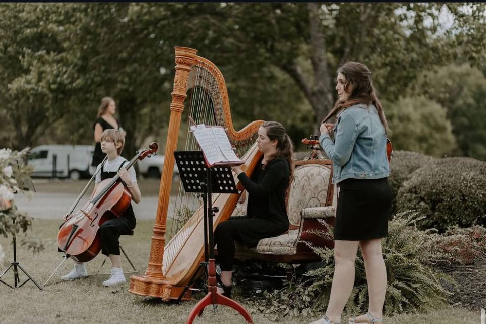 Harpist