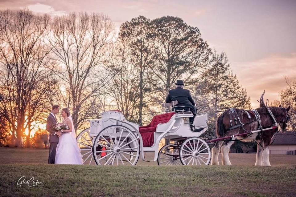 Horse and carriage