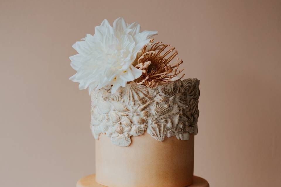 Seashell cake