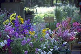 Early Morning Cart of Wedding Flowers