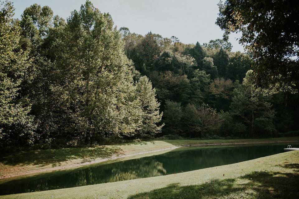 Pond on property