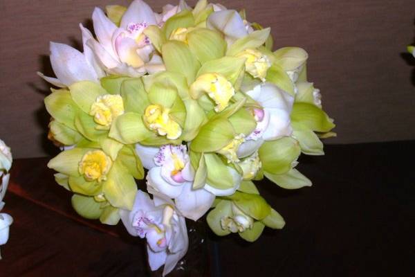 white and green cymbidium orchid - bouquet