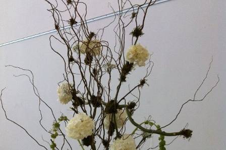 casa diri's floral designs