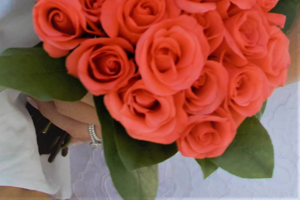 Nothing but Roses