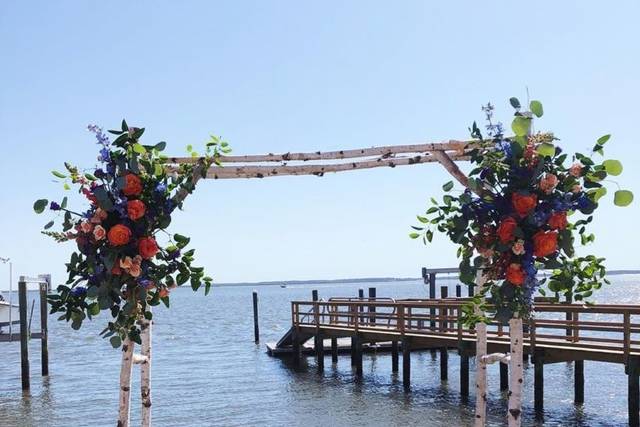 A coastal arbor