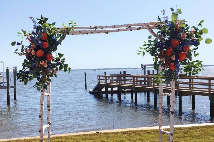 A coastal arbor