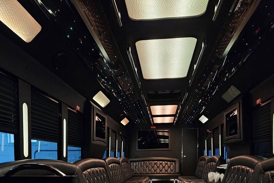 Party busses 15 to 49