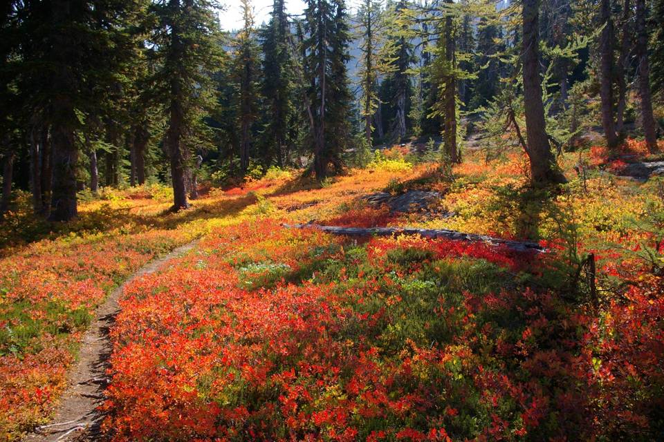 Alpine Lakes High Camp