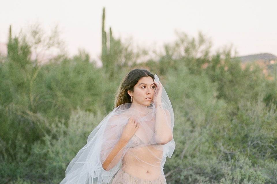 Sonoran Desert Boudoir