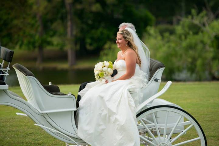 The Bride Arrives