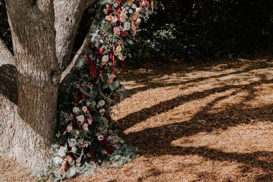 Floral Arch on Tree