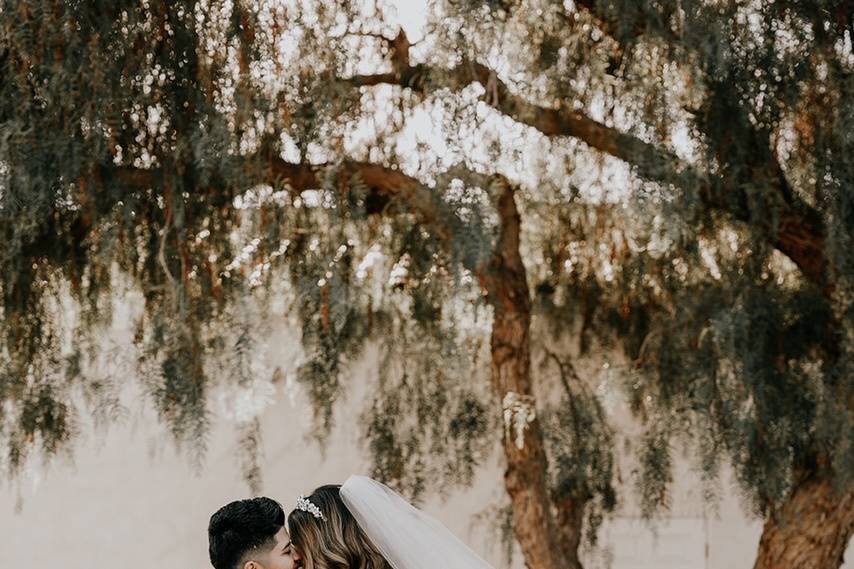 Veil Photo