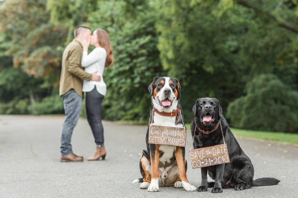 Save-the-date dog signs