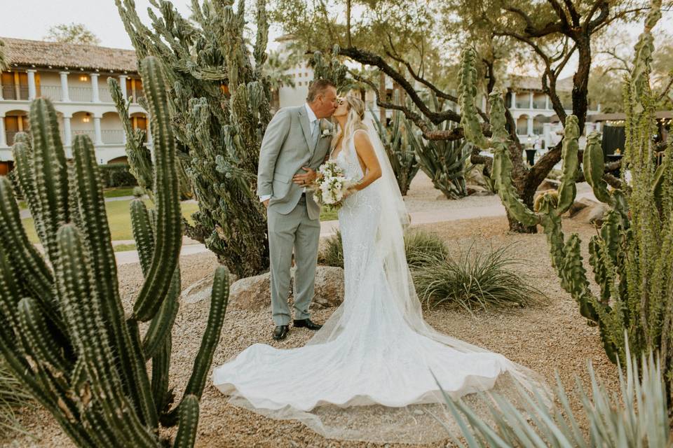 Our Beautiful Cactus Garden
