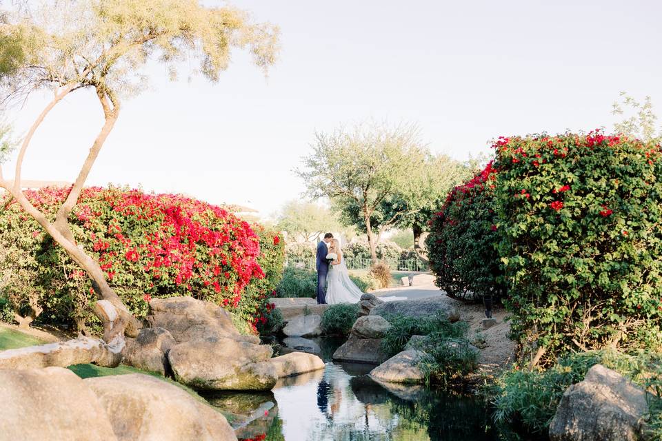 Lush Gardens