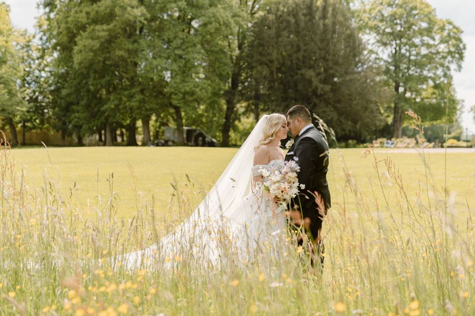 The wild flower meadow
