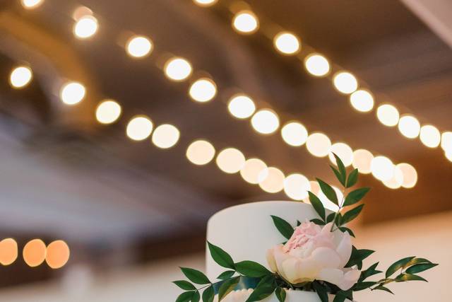 Kelly Hill Photography
