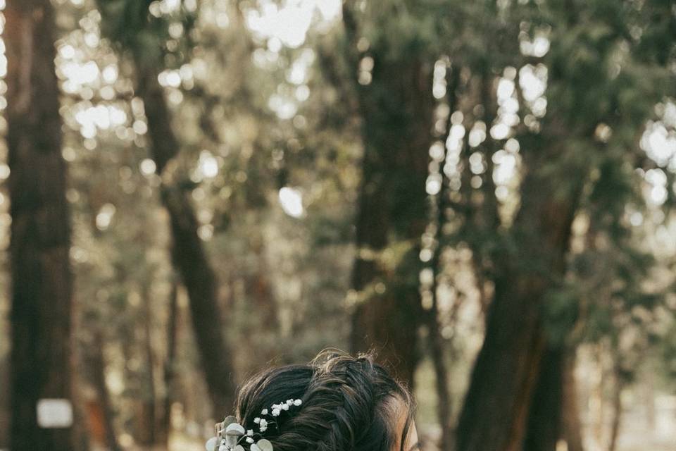 Updo