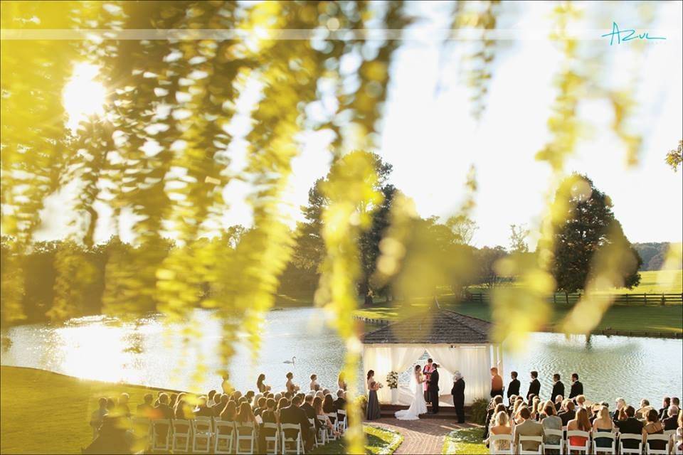 Outdoor wedding