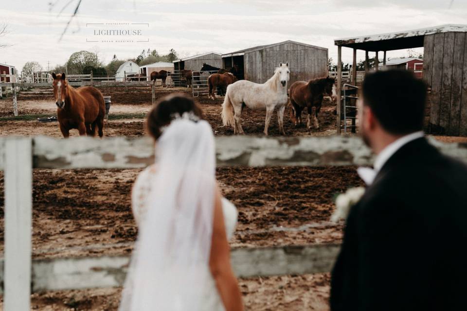 Horse barn