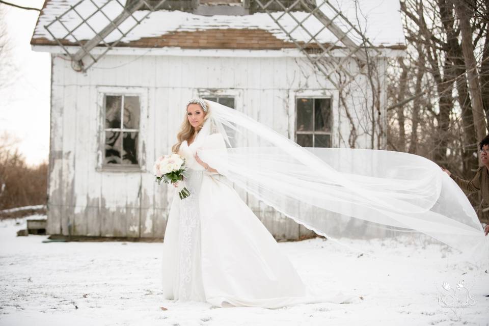 Winter Bride