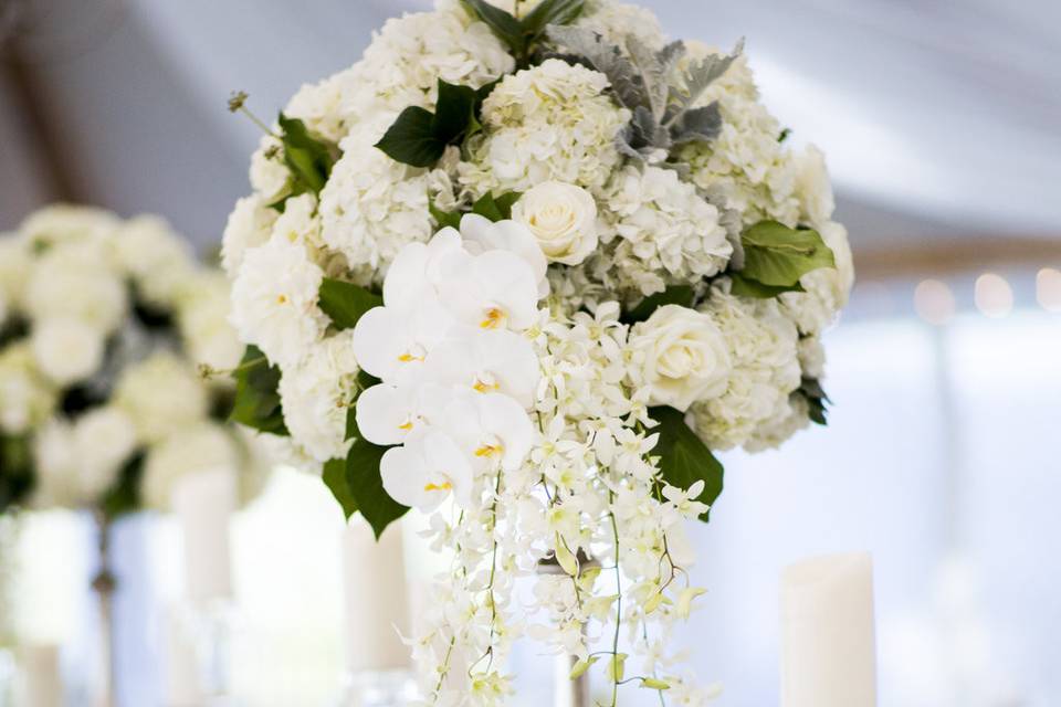 Raised floral centerpieces