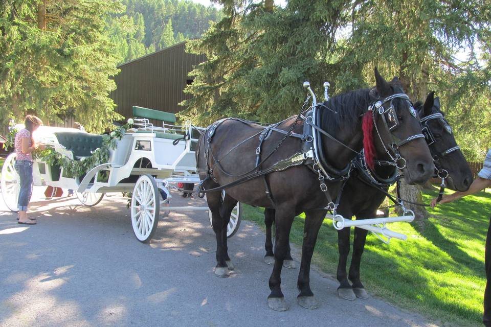 Cripple Creek Horse Ranch