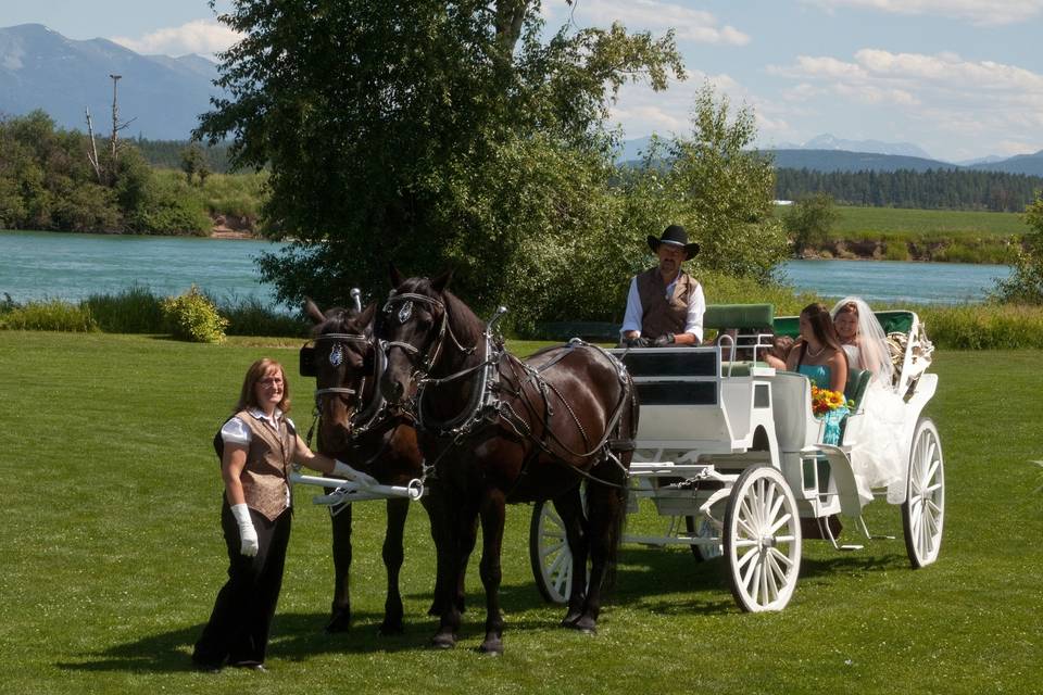 Cripple Creek Horse Ranch