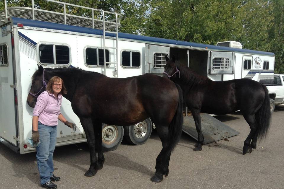 Cripple Creek Horse Ranch