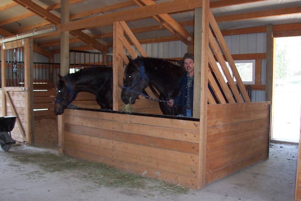 Cripple Creek Horse Ranch