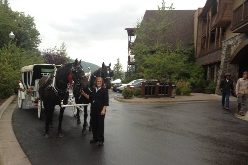 Cripple Creek Horse Ranch