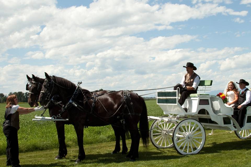 Cripple Creek Horse Ranch