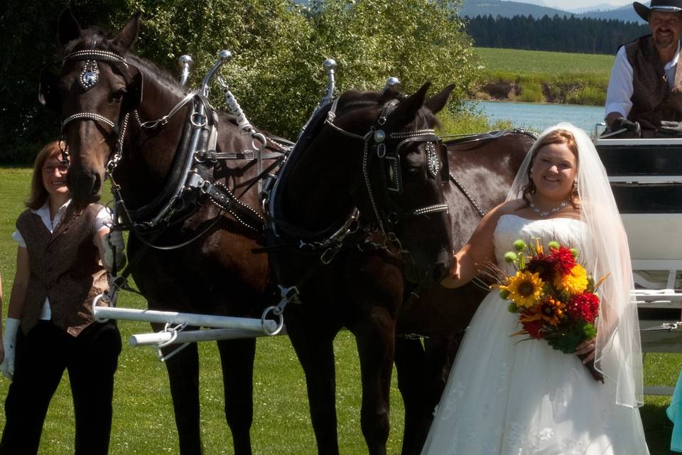 Cripple Creek Horse Ranch