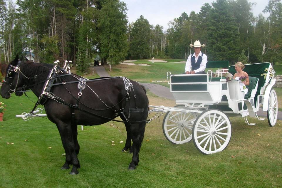 Cripple Creek Horse Ranch