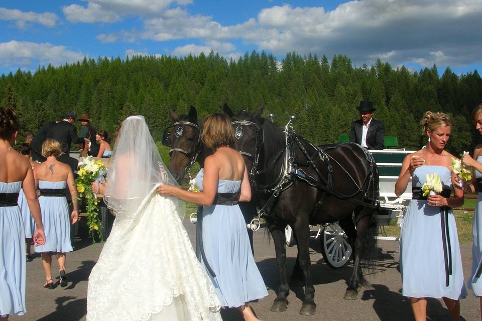 Cripple Creek Horse Ranch