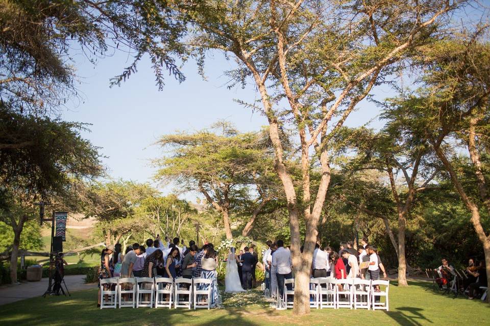 Happy wedding guests