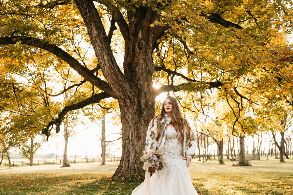 Maple tree and bride