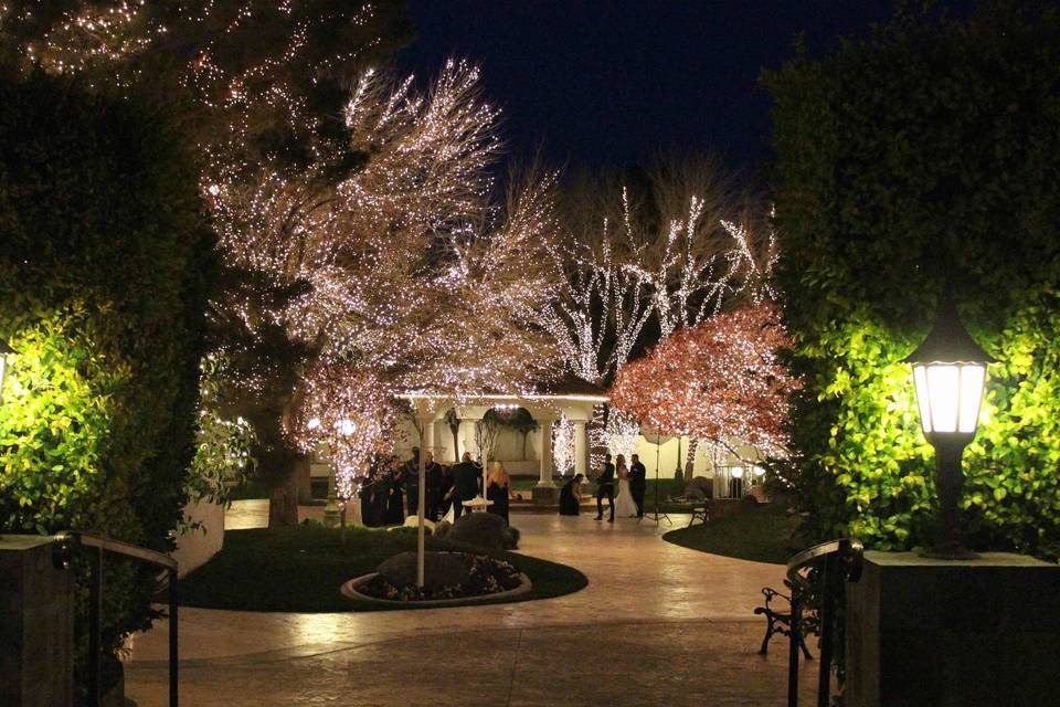 Garden at night